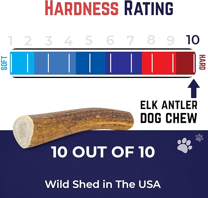 Devil Dog Pet Co. Elk Antlers for Dogs, Small 4"+, 2 Pack, Grade A Long Lasting Chew for Aggressive Chewers, Premium USA Naturally Shed Antler – Healthy, No Odor, Durable Dog Chew