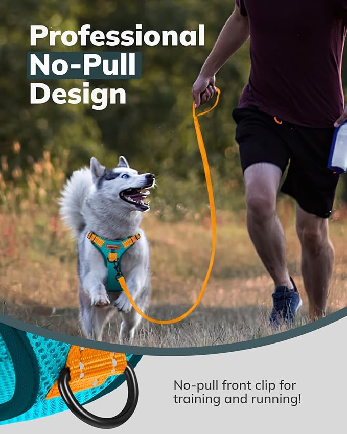 MIDOG No-Pull Dog Harness | Adjustable & Reflective Pet Harness Leash Set for Small Medium Large Dogs Walking, Training| No Choke, Front Clip, Soft Padded Vest with Easy Control Handle - Blue, L