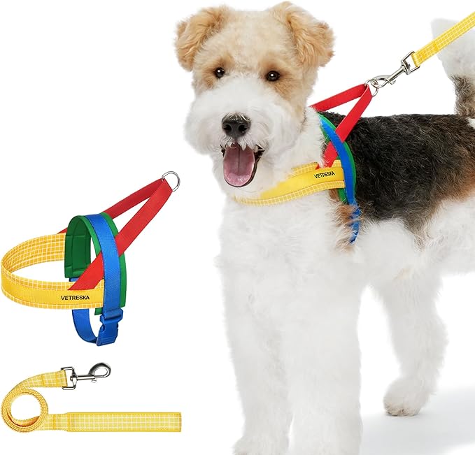 VETRESKA MoMA Dog Harness and Leash Set, Easy Walk Dog Harness for Small Medium Dogs, No Pull Puppy Harness for Walking and Training, Adjustable, Take Control & Anti-Twist Pet Lead Combo(Yellow, S)