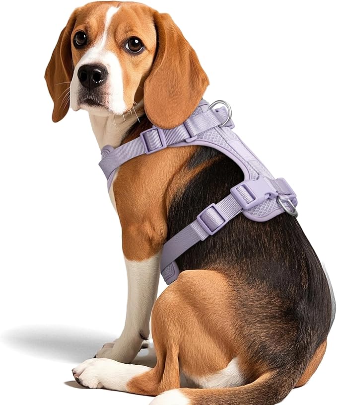 Wisedog Mesh Breathable Dog Harness: No Pull Harness with 3 Fast-Release Buckles Adjustable for Walking & Training for Small Medium Large Dogs (Lilac, S: Neck=14"-19"/Chest=13"-24")