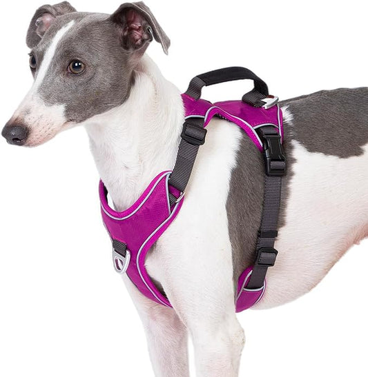 No Pull Dog Harness with Back Control Handle Medium Sized, Reflective Vest, Adjustable and Padded, Easy Walker Front/Back Clips (Purple, Medium)