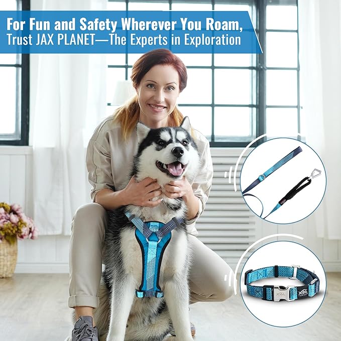 No-Pull Dog Harness with Handle - Escape Proof, Anti-Pulling, Grip Control, Multi-Angle Reflective for Safe Walks & Training, Easy On & Off, Metal Buckle–Pet Harness, Medium/Large Dogs- N H4- Blue
