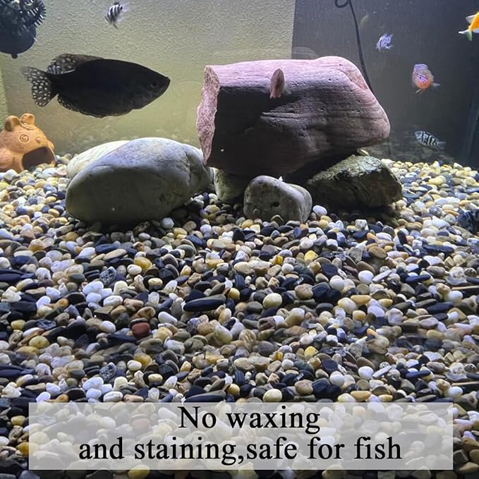 2lbs Aquarium Rocks, 2/5 Inch Pea Gravel for Indoor Plants, Decorative River Rocks for Fish Tank Succulent Vase Plant Soil Cover and Outdoor Landscaping