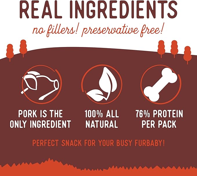 Beg & Barker Pork Jerky for Dogs (10 oz, Pack of 1) - Dog Training Treats - Natural Dog Treats Made in The USA - Grain Free, Diabetic-Friendly, High Protein, Sugar-Free (Pork Dog Jerky)