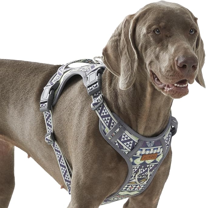 Adjustable Extra Large Dog Vest Harness No-Pull Easy Walking, Cute Pet Harness with Tribal Pattern Breathable Oxford Material 2 Leash Clips and 3 Buckles, German Shepherd, Rottweiler, XL Size
