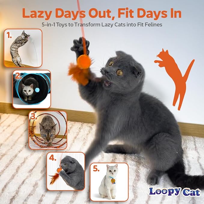 5 in 1 Interactive Cat Toys for Indoor Cats Bundle - Cat Tunnel, Fishing Pole, Feather Toy Teaser Wand, Spiral Tube, Cat Kicker - Crinkle Hanging Moving Cat Toys for Bored Indoor Adult Cats