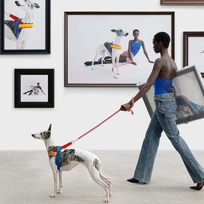 VETRESKA MoMA Dog Harness for Medium Large Dogs, Easy Walk Dog Harness and Leash Set, No Pull Dog Vest Harness for Walking and Training, Adjustable, Take Control & Anti-Twist Pet Lead Combo (Red, M)