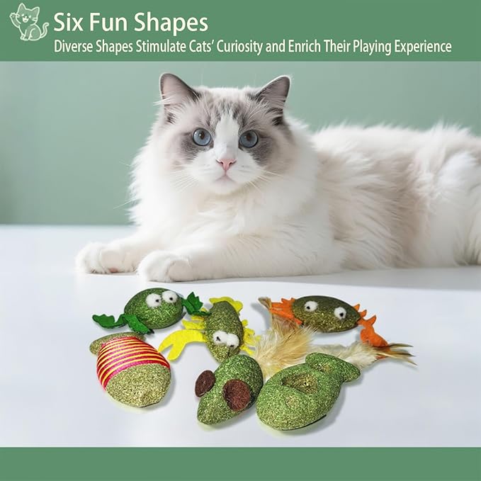 6-Pack Diverse Shaped Catnip Cat Toys - Suitable for Indoor Cats & All Cat Breeds, Including Frog, Lobster, Feather Fish, Striped Fish, Crab & Mouse Shapes