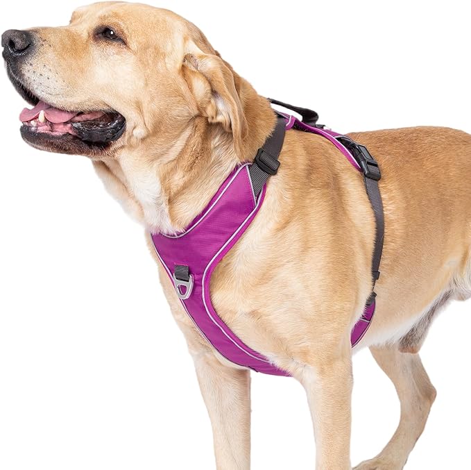 No Pull Dog Harness with Back Control Handle for Large Dogs, Reflective Vest, Adjustable and Padded, Easy Walk Front/Back Clips (Purple, Large)