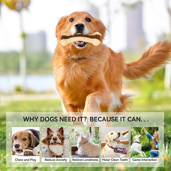 Dog Bones for Aggressive Chewers, 2 Pack Real Beef Flavor Puppy Teething Toys for Medium/Small Breeds, Nylon Durable Dog Chew Toys