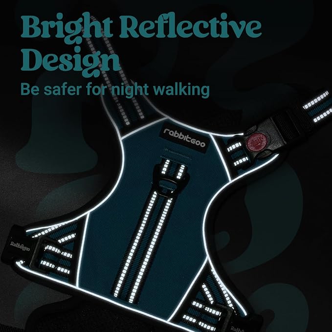 rabbitgoo Dog Harness for Large Dogs, No Pull Pet Harness with Soft Padded Handle, Adjustable Reflective Vest with 3 Buckles, Easy Walking Harness with 2 Leash Clips, Green, L