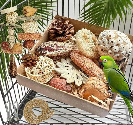 Parrot Toys, Tyotrbs Bird Toys Parakeet Toys for Birds Budgie Shredder Hanging Set Cockatiel ChewToys Parrot Climbing CageToy Lovebird Cage Accessories for Small or Medium Parrots