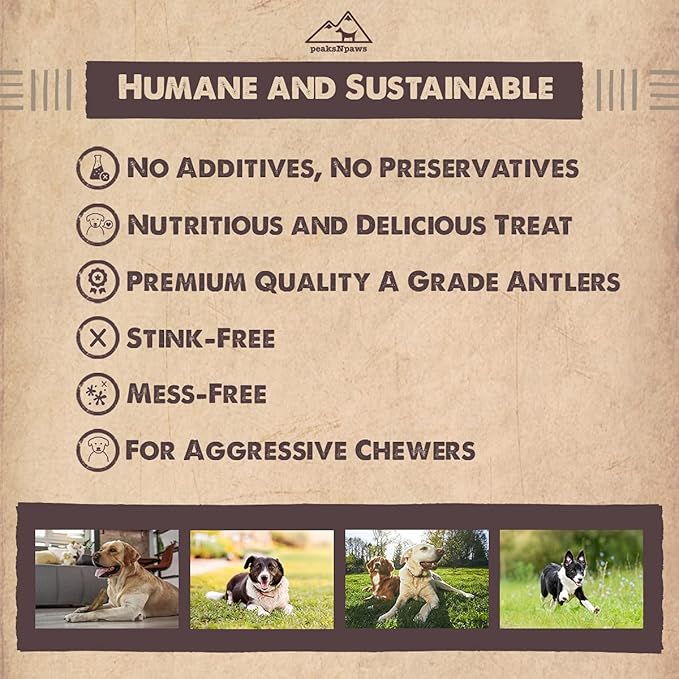 Premium Split Elk Antlers for Dogs, Dog Treats Large Breed, Made in USA, Natural Chews for Aggressive Chewers, Long Lasting Pet Treat for Dogs Under 80 lbs, 2 Large/XL Antler Pack
