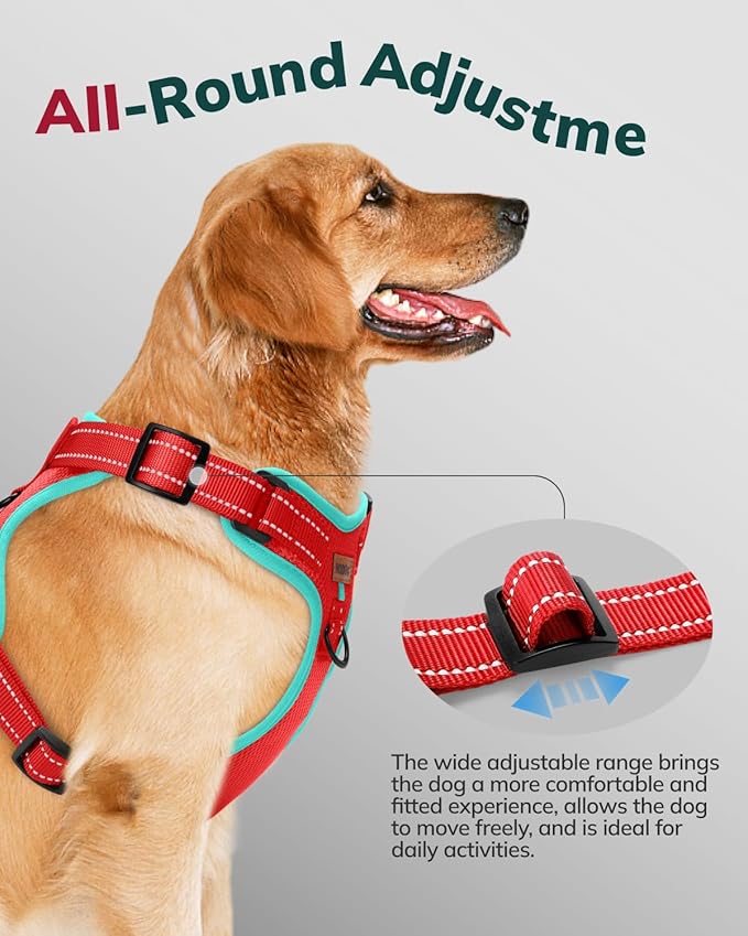 MIDOG No-Pull Dog Harness | Adjustable & Reflective Pet Harness Leash Set for Small Medium Large Dogs Walking, Training| No Choke, Front Clip, Soft Padded Vest with Easy Control Handle - Red, XL