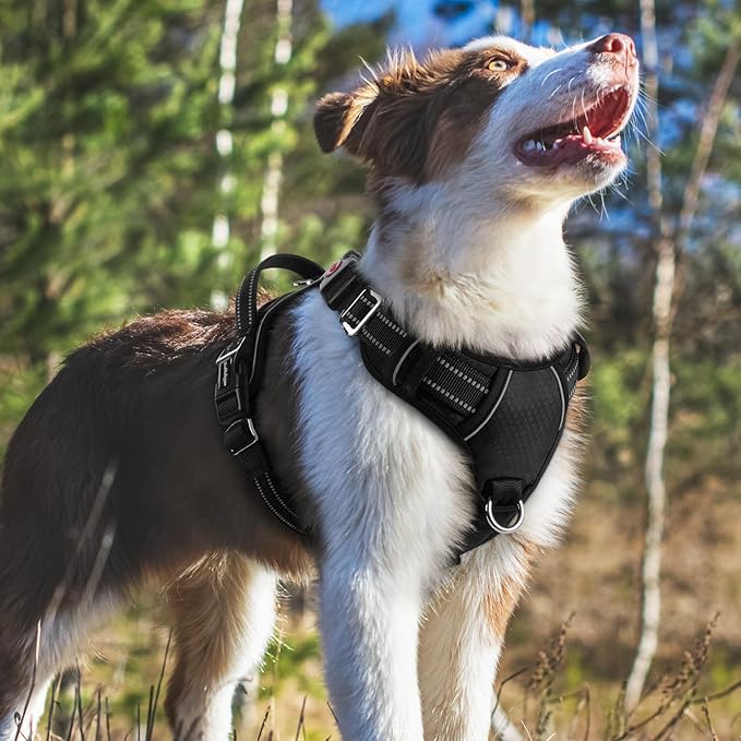 rabbitgoo Dog Harness Medium Sized, No Pull Dog Vest with 3 Buckles, Adjustable Soft Padded Pet Harness with Easy Control Handle and Reflective Strips, Black, M