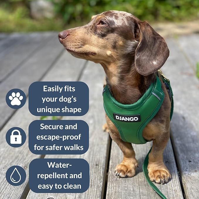 DJANGO Adventure Dog Harness - Stylish and Durable Large Dog Harness for Outdoor Adventures and Everyday Wear - Forest Green Neoprene Adjustable Harness for Dogs with Reflective Piping & Brass D-Ring