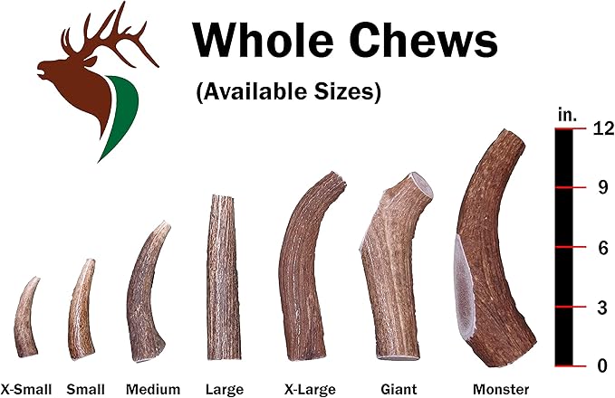 Large Whole Twin Pack (for 35-65 lb Dogs) Premium Grade Elk Antlers for Dogs (2 Pieces) Sourced in The USA