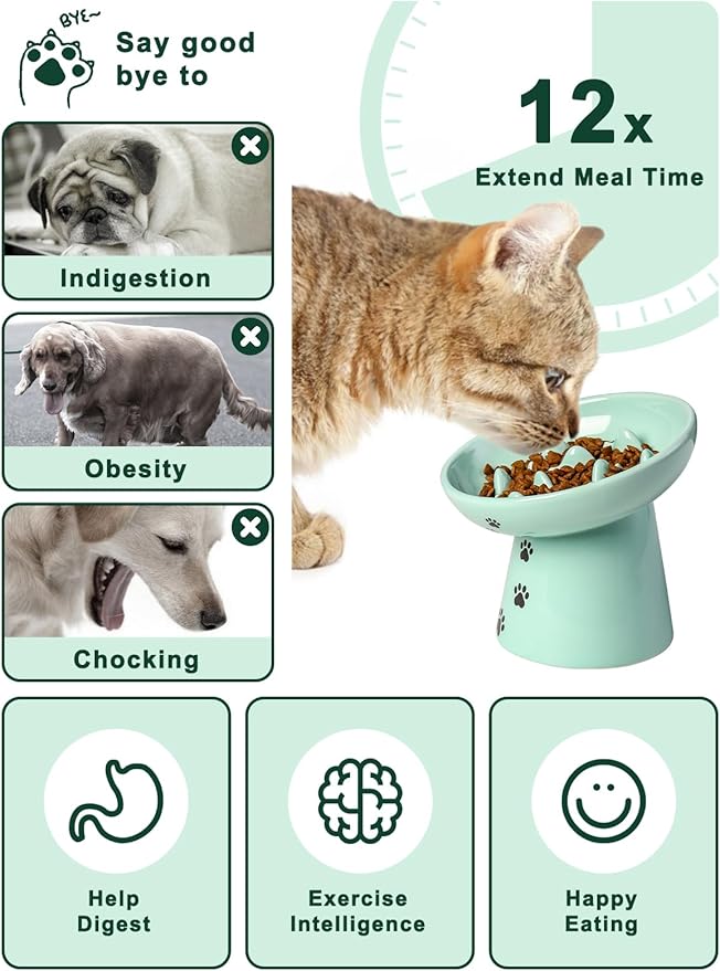 Y YHY 6 Inches Cat Slow Feeder Bowl, Elevated Dog Feeder, Ceramic Anti-Vomiting Bowl for Dry and Wet Food, Green