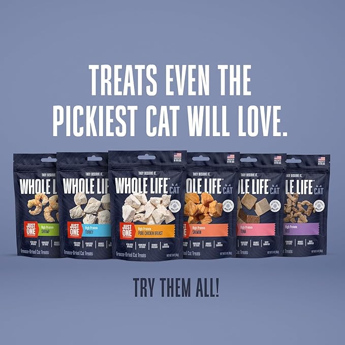 Whole Life Pet Just One Salmon - Cat Treat Or Topper - Human Grade, Freeze Dried, One Ingredient - Protein Rich, Grain Free, Made in The USA (Pack of 2)