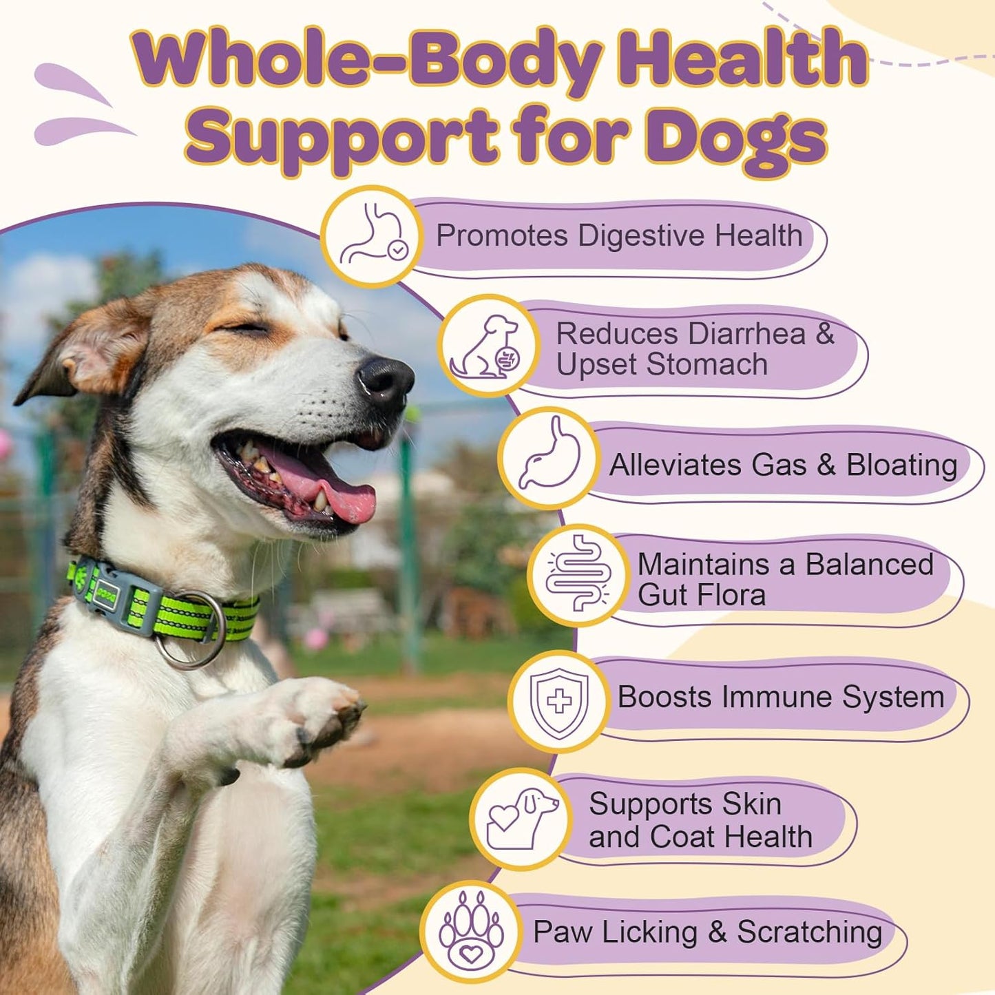 Probiotics for Dogs – 6 Billion CFUs & 10 Strains with Prebiotics, Omega-3, Digestive Enzymes & Multivitamins, Dog Probiotics for Digestive Health, Immune Support, Skin & Coat, 120 Duck Flavor Chews