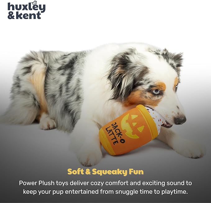 Huxley & Kent Halloween Funny Dog Toy w/Squeaker – Power Plush Squeaky Dog Toys for Small, Medium & Large Dogs – Soft Stuffed Animal for Indoor Play & Fetch - Jack-O-Latte, One Size