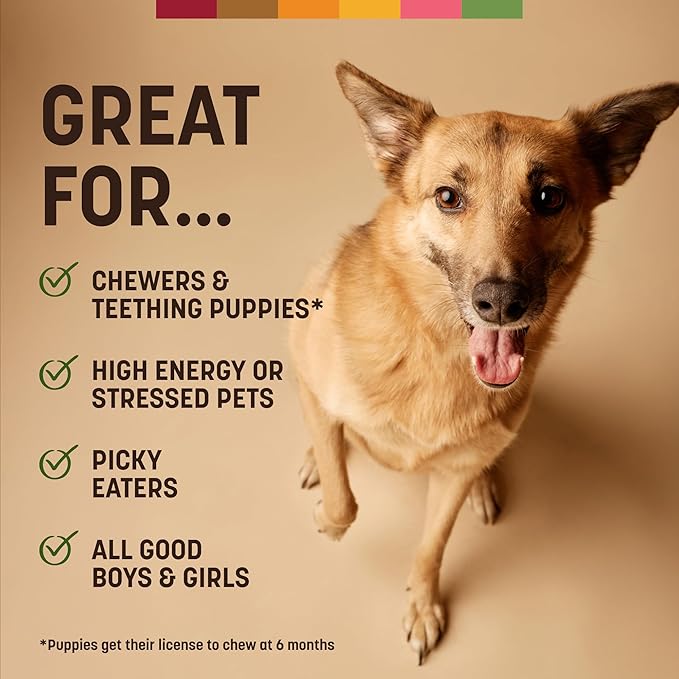 Earth Animal No Hide Medium Pork Flavored Natural Rawhide Free Dog Chews Long Lasting Chew Sticks | Treats for Large Dogs | Great for Aggressive Chewers - 6 Count