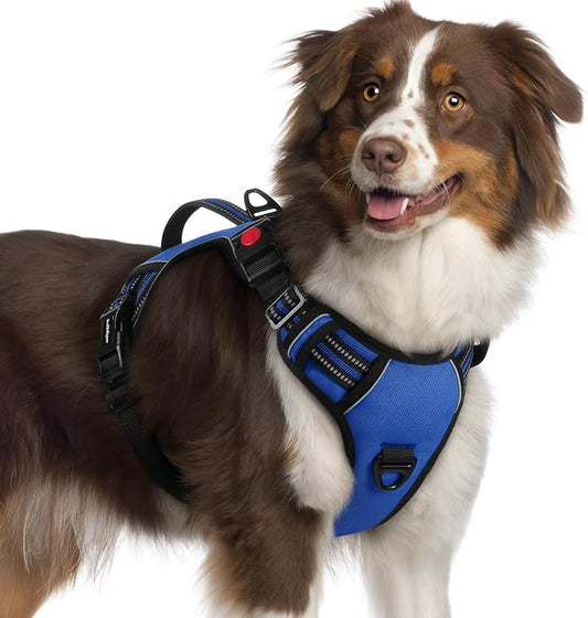 rabbitgoo Dog Harness Medium Sized, No Pull Pet Harness with Soft Padded Handle, Adjustable Reflective Vest with 3 Buckles, Easy Walking Harness with 2 Leash Clips, Blue, XL