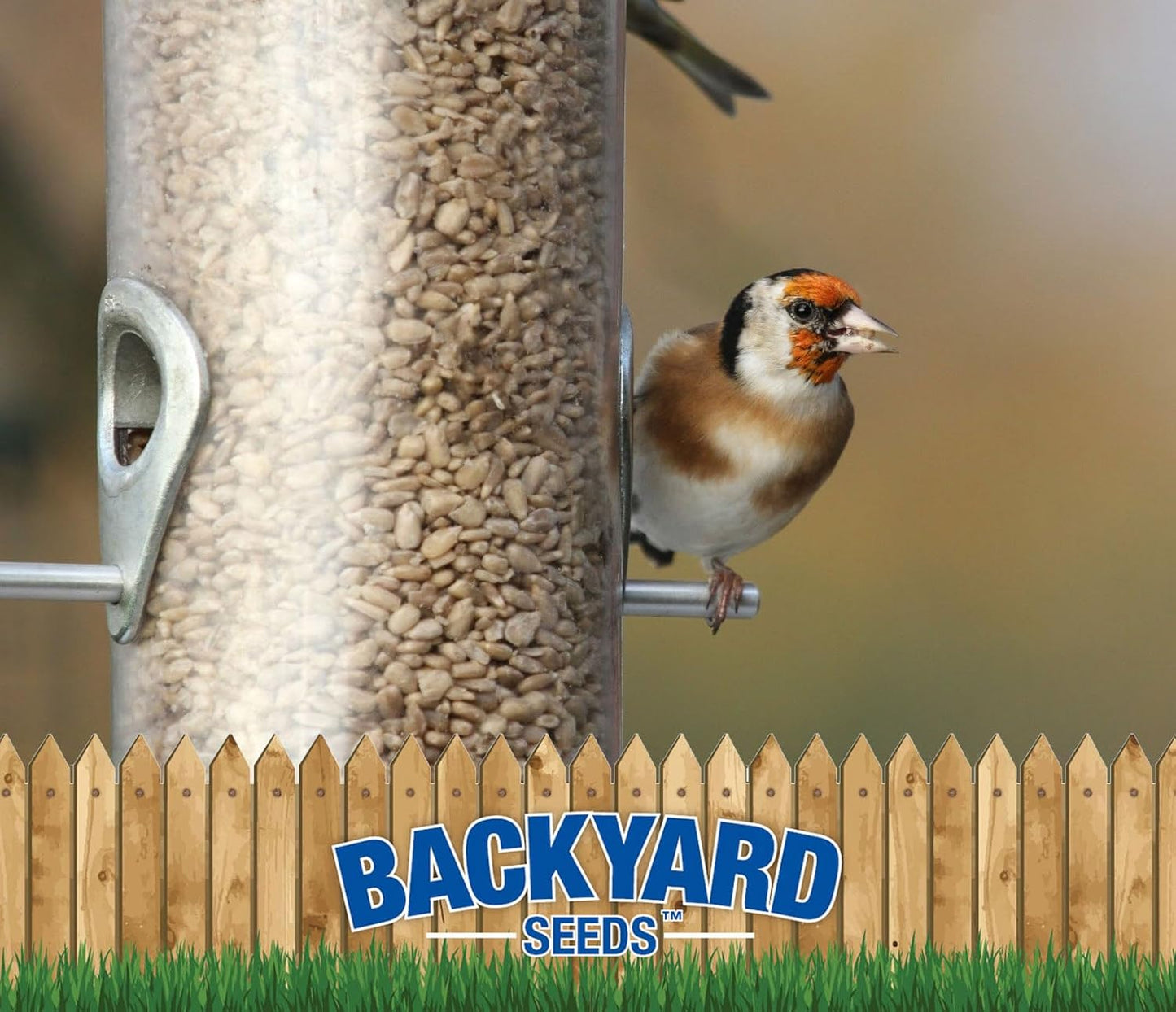 Sunflower Coarse Kernels Hearts No Waste No Mess Bird Seed (50 Pounds)