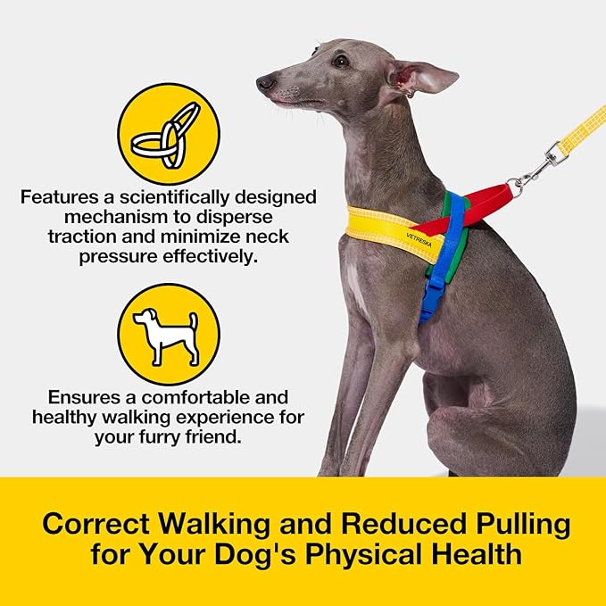 VETRESKA MoMA Dog Harness and Leash Set, Easy Walk Dog Harness for Large Dogs, No Pull Puppy Harness for Walking and Training, Adjustable, Take Control & Anti-Twist Pet Lead Combo(Yellow, L)