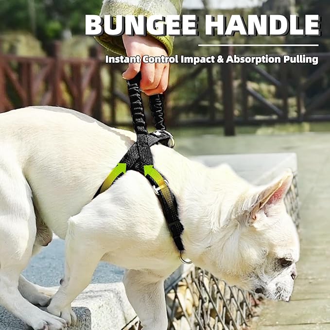 PUPTECK No Pull Dog Harness Small Sized Dog, Adjustable Reflective Pet Vest Harness with Bungee Handle, Escape Proof No Choke Harness for Small Dogs Walking Training, Black S