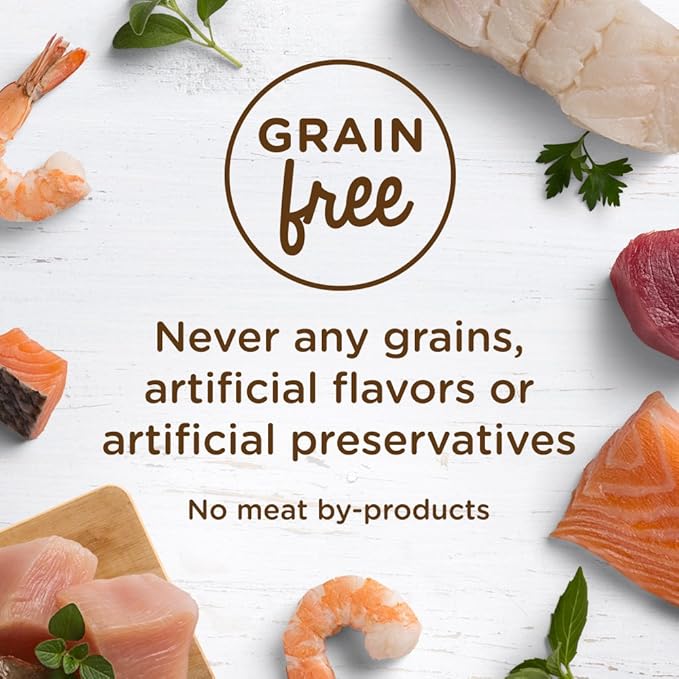 Nutrish Rachael Ray Grain Free Wet Cat Food Ocean Fish & Chicken Catch-iatore, 2.8 oz. Cup, 24 Count