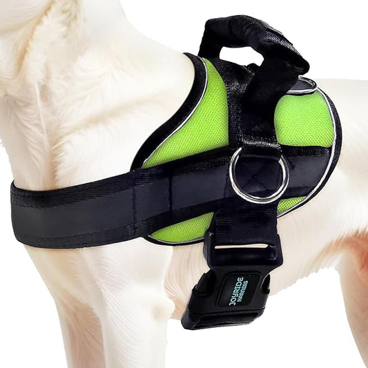 Joyride Harness 2.0 - The Original Side Ring No Pull Dog Harness - No Choke, Escape Proof, Reflective, 3 Leash Clips, Quick Fit Pet Vest - Easy Walks & Training - for Small, Medium & Large Dogs