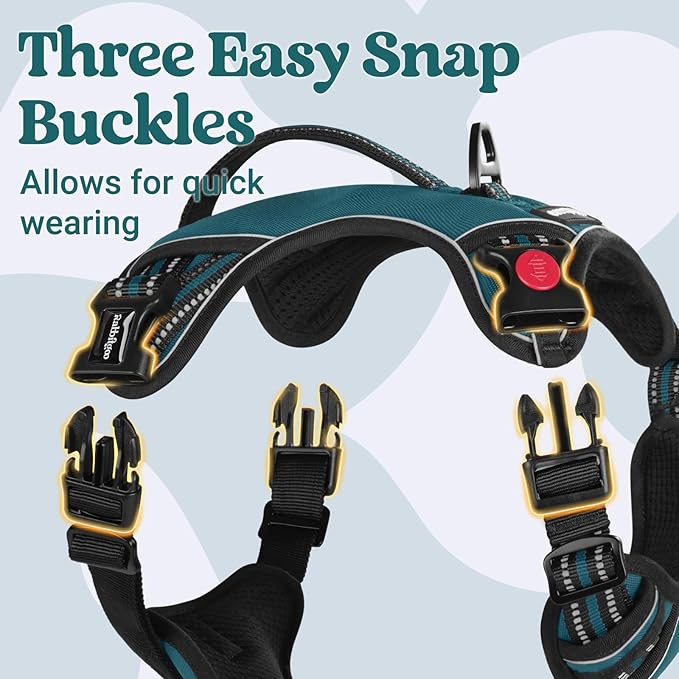 rabbitgoo Dog Harness Medium Sized, No Pull Pet Harness with Soft Padded Handle, Adjustable Reflective Vest with 3 Buckles, Easy Walking Harness with 2 Leash Clips, Green, XL