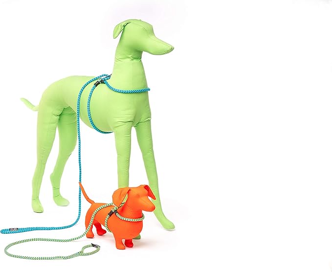 Harness Lead No Pull Dog Harness and Leash Set, Anti Pull Dog Harness, One-Piece Cushioned Rope Safely Prevents Escaping and Pulling *New Insert is Removable (Medium/Large, Peacock/Blue/Lime)