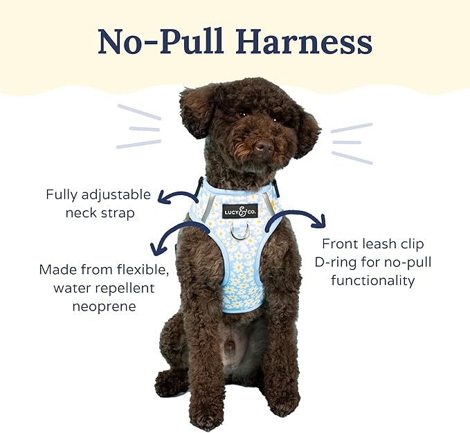 Lucy & Co. The Simply Splendid No-Pull Dog Harness - Size Small - Vest to Stop Pulling & Walk Easy - Comfortable Leash Training Product w/Adjustable Chest & Neck Straps