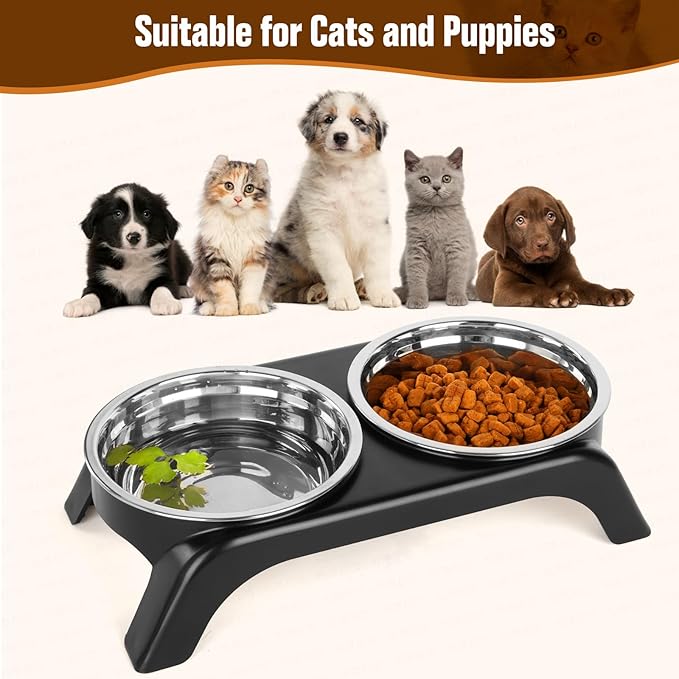 Elevated Cat Bowls - Anti-Vomiting Raised Food Bowl Set With 2 Stainless Steel Bowls, Prevents Neck Pain, ABS Anti-Slip Stand for Indoor Cats & Puppies (Black)