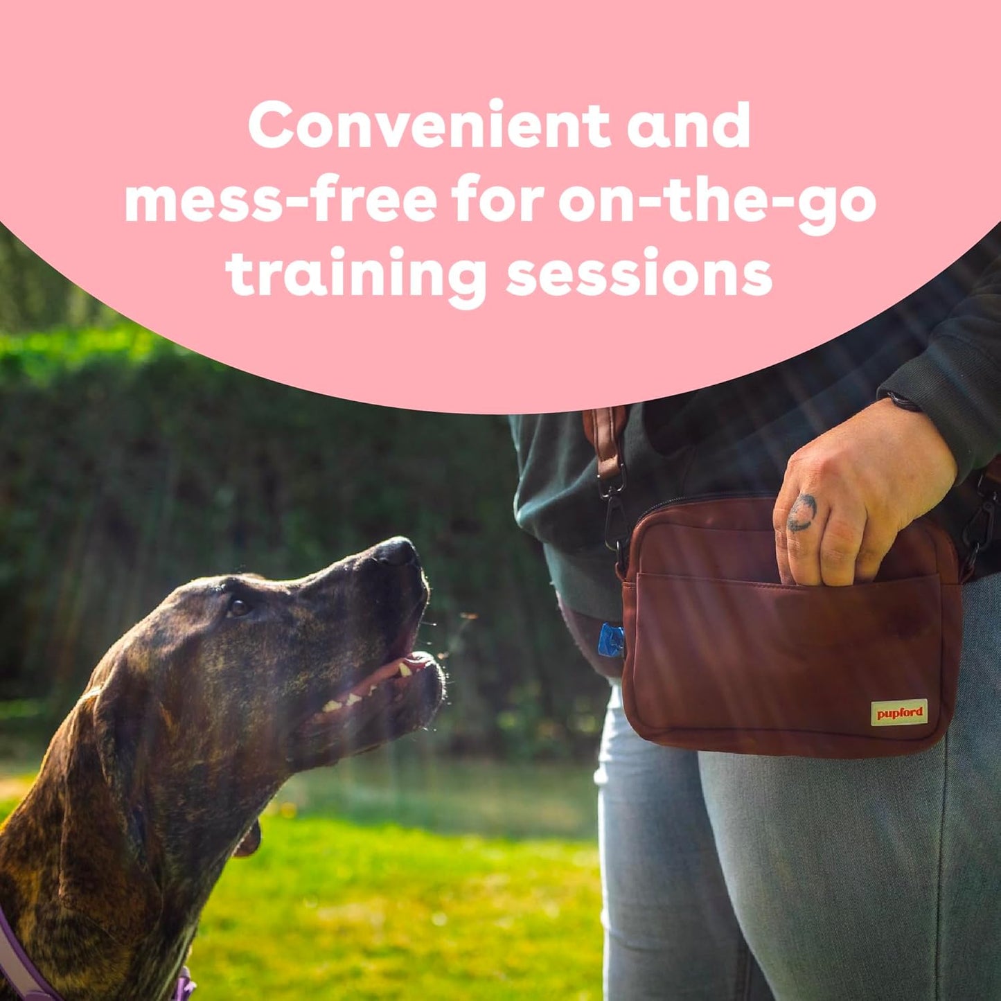 Pupford Freeze Dried Training Treats for Dogs & Puppies, 475+ Two Ingredient Bites (Salmon, 4 oz)