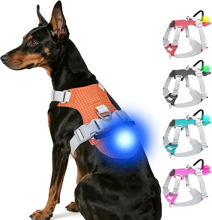 Joytale Lightweight Light Up Dog Harness, Rechargeable No-Pull LED Dog Harness with Detachable Light Box, Airtag Holder, Adjustable for Night Walking, Running & Everyday Use, Orange, XL