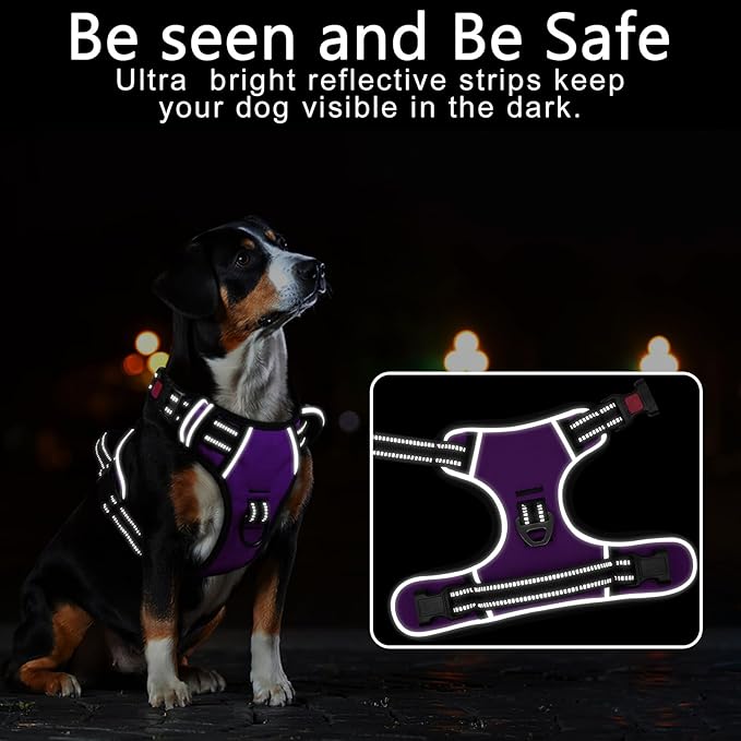 Timos Dog Harness Medium Sized, No Pull with Neck Lockable Snap,No Choke Front Clip Dog Reflective Harness,Adjustable Metal Rings 3 Buckles,Easy Control Handle for Medium Dogs Purple M