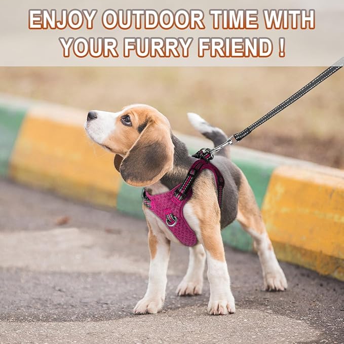 Dog Harness Step in Dog Vest Harness, Reflective Adjustable Puppy No Pull Harness Breathable Soft for Small and Medium Dogs Cats, Pink/Black, S