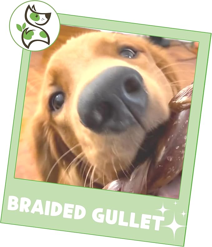 Nature Gnaws Braided Beef Gullet Chews for Dogs 5-6" (10 Count) - Long Lasting for Small and Medium Dogs - Natural Beef Jerky Dog Chew Bones