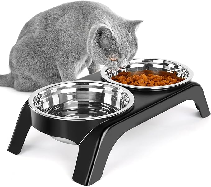 Elevated Cat Bowls - Anti-Vomiting Raised Food Bowl Set With 2 Stainless Steel Bowls, Prevents Neck Pain, ABS Anti-Slip Stand for Indoor Cats & Puppies (Black)