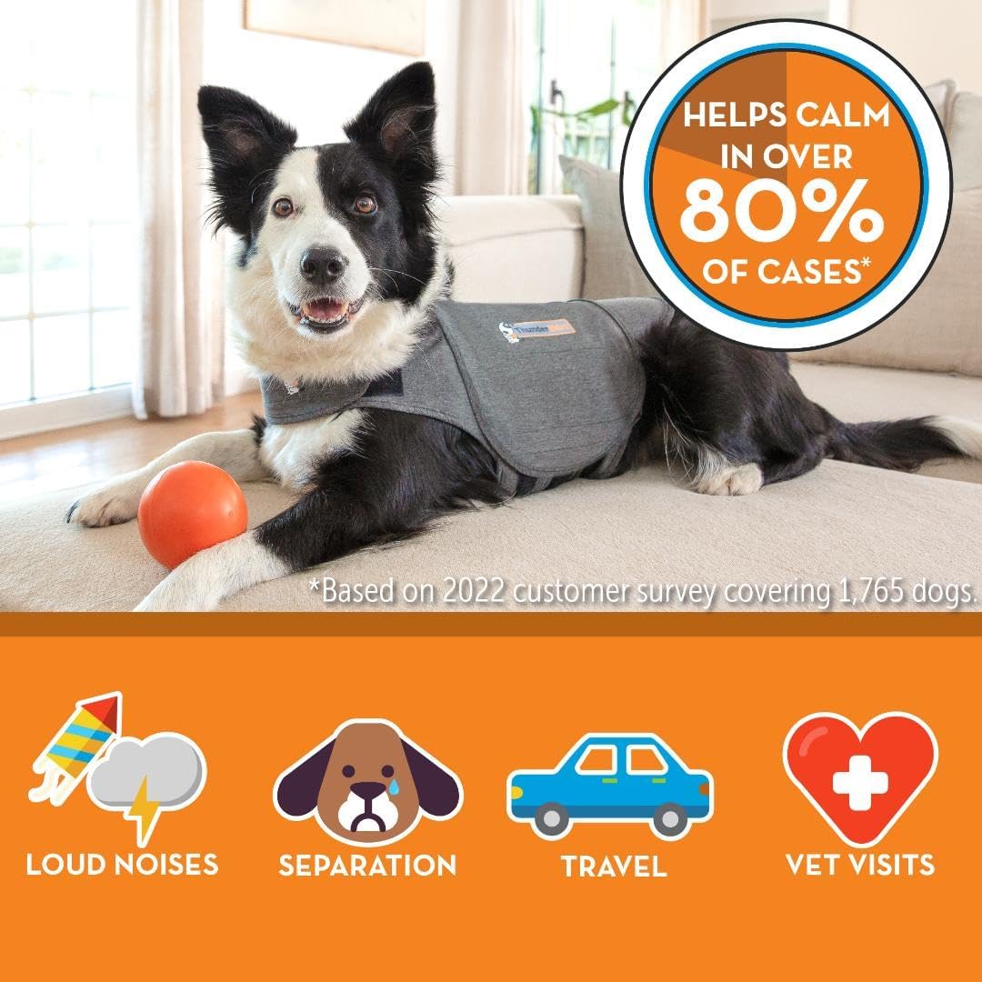 ThunderShirt for Dogs, Small, Heather Gray Classic - Dog Anxiety Relief Calming Vest