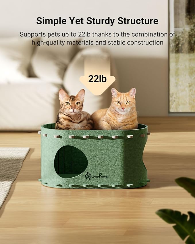 DownyPaws Cat House for Indoor Cats, Cat Bed Cave for Multiple & Large Cats Up to 22 Lbs, Scratch Resistant Peekaboo Cat Caves, Foldable Tunnel Enclosed Bed, PeekaPurr, Forest