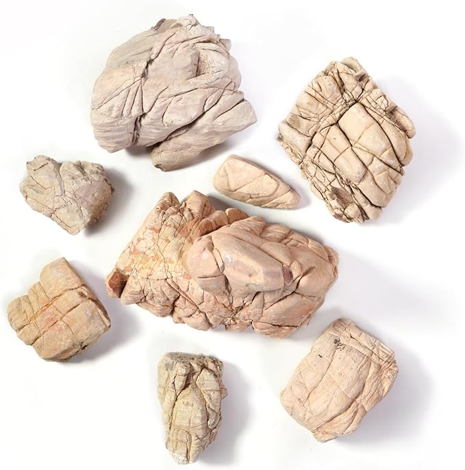 LANDEN Elephant Skin Stone Natural Multi-Texture Rocks (18lbs, 3~9 inches,7pcs) for Aquarium, Paludarium, Terrariums, Landscaping, Decorative of Caves, Waterfalls, Cliffs