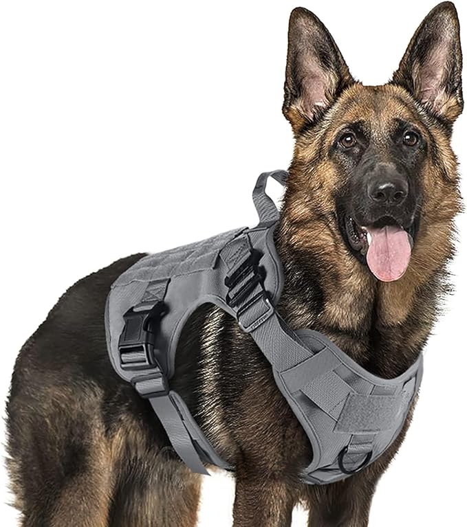 rabbitgoo Tactical Dog Harness for Large, Heavy Duty Pet Harness with Handle, No-Pull Service Vest Large Breed, Adjustable Military Dog Vest for Training Hunting Walking, Grey, XL