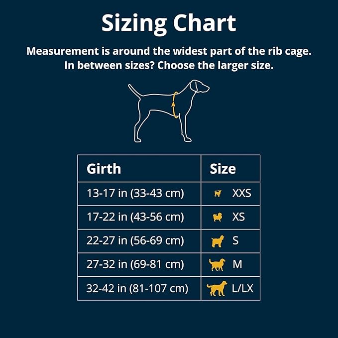 Ruffwear, Front Range Dog Harness, Reflective Soft Padded Everyday Harness with Dual Leash Clips, Adjustable and Lightweight Fit for Training or Walking for All Dogs, Red Canyon, Small