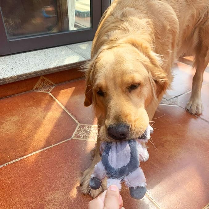 Jalousie 5 Pack Plush Toys Assortment Value Bundle Puppy Pet Mutt Squeak Toy for Medium Large Dogs (5 Pack Premium Corduroy) (1 Pack Large Plush)