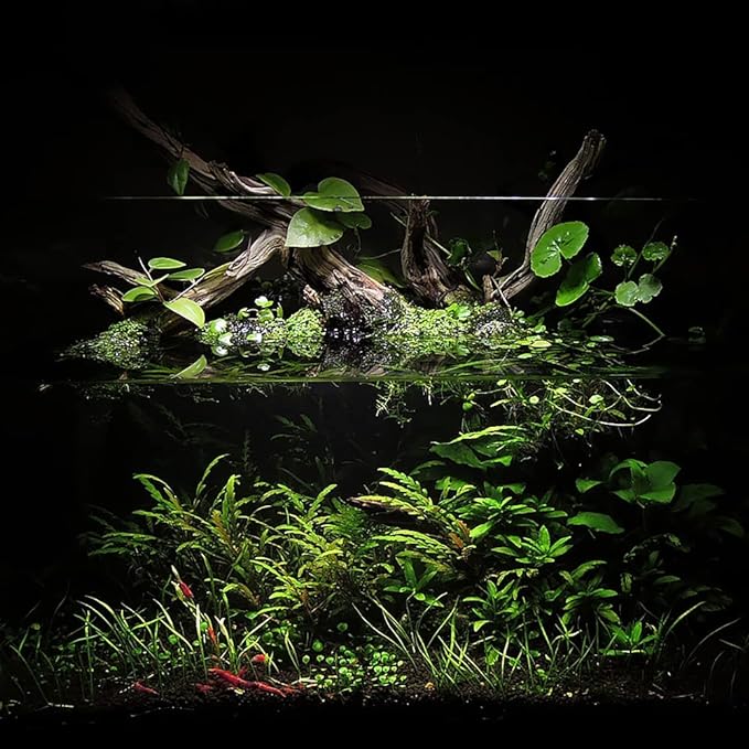 Ultum Nature Systems Controsoil - Freshwater Aqua Soil Substrate for Fish, Shrimp, Live Plant Propagation and Aquascaping - 6.8pH Low Ammonia, Volcanic Ash - Black, Extra Fine (10 Liter | 20LB)