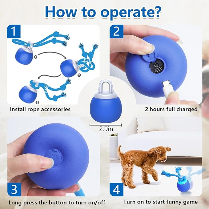 Interactive Dog Toys with Motion Activated, Squeaky Dog Toy Active Rolling Ball for Puppy and Medium Dogs, USB Rechargeable, Wicked Ball